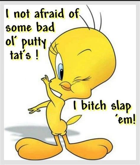 pin on tweety bird and quotes