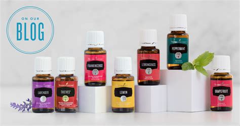 11 Most Popular Essential Oils | Young Living Essential Oils Alternative & holistic health service · health/beauty · beauty supply store.