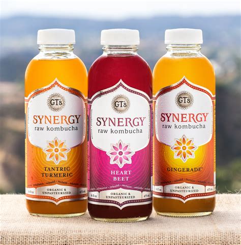 gt dave gives behind the scenes look at gt s living foods kombucha us weekly