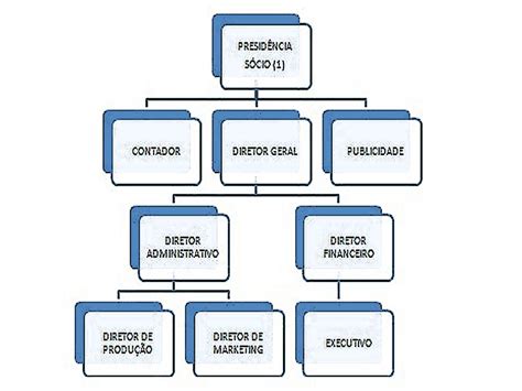 Estruturas Organizacionais Administracao Estrutura Organizacional My