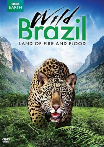 Wild Brazil Land Of Fire And Flood Dvd 2014 Dvd Empire
