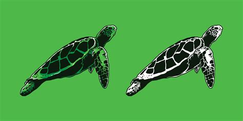 Hand Drawn Green Turtle Vector Illustration 3311877 Vector Art At Vecteezy