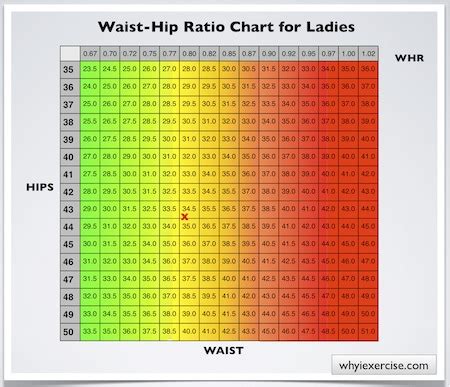 The degree of central fat distribution may be more closely tied to metabolic risks than bmi. Waist hip ratio: Simple measurements. Valuable health info.