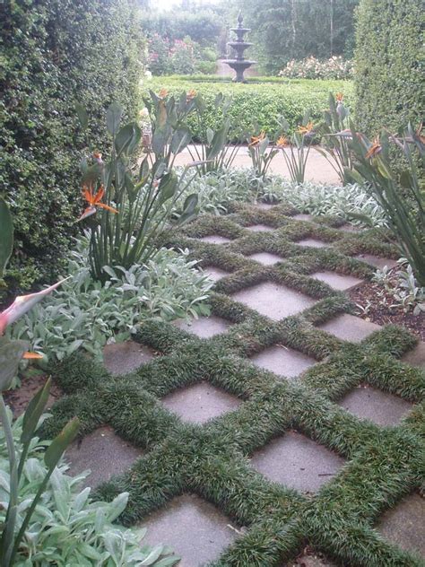 Dwarf mondo grass botanical name is ophiopogon japonicus 'nanus'. Pin on mondo grass