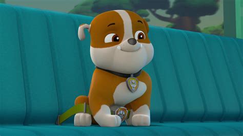 Rubblegallerypups Save The Bubble Monkeys Paw Patrol Wiki Fandom