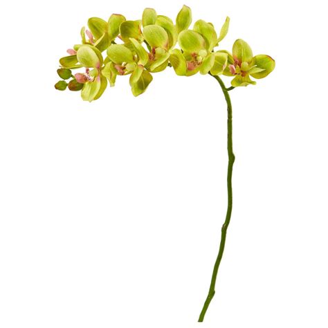 Artificial Orchids Silk Orchids Nearly Natural
