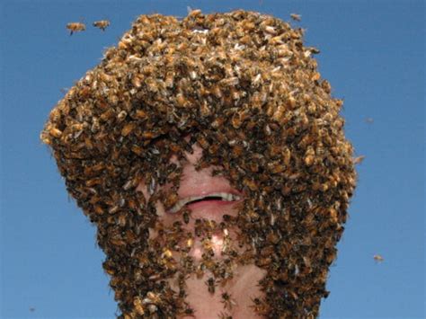 Chinese Man Sets Record Covered With 450000 Bees