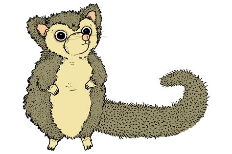 Possums 5 Cute Images Clip Art Illustrations Pngjpeg