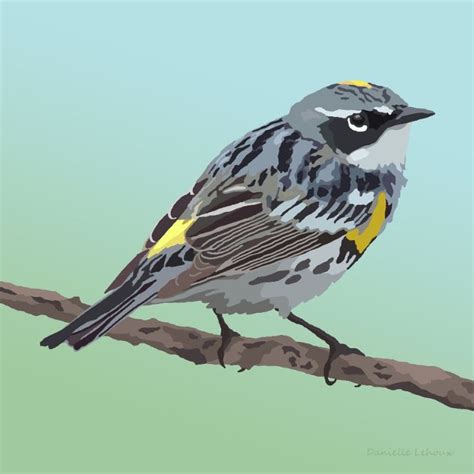 Yellow Rumped Warbler Graphic Art Print Bird Art Graphic Art Print