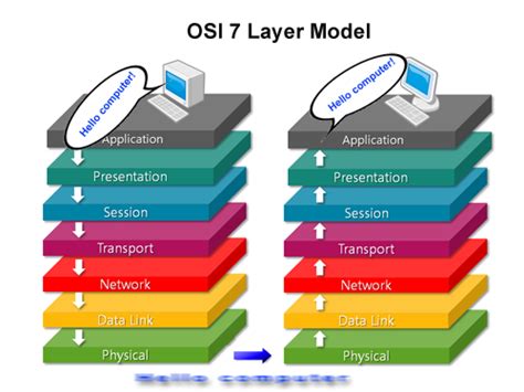 Networking Guide The Osi Reference Model Page Of My XXX Hot Girl