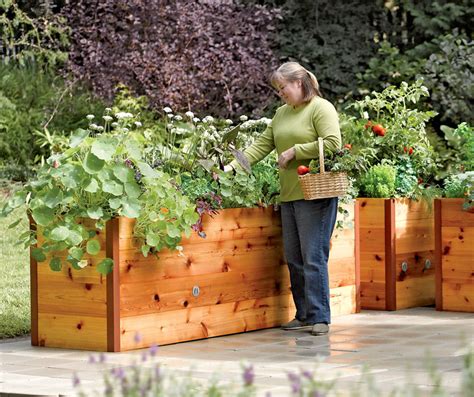 We've included several different types of raised garden beds, whether you're looking for ones tall enough so that you don't have to bend down to garden or ones that will add some style to. Elevated Cedar Raised Garden Beds - The Green Head