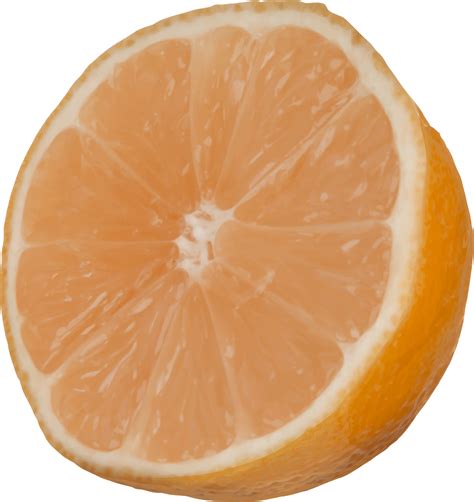 Onlinelabels Clip Art Cut Orange