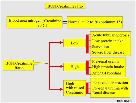 Blood Urea Nitrogen Creatinine Ratio BUN Creatinine Ratio And