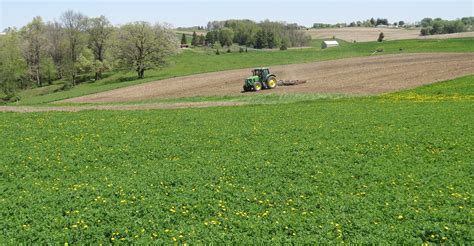 Factors Affecting Alfalfa Seeded In Late Summer