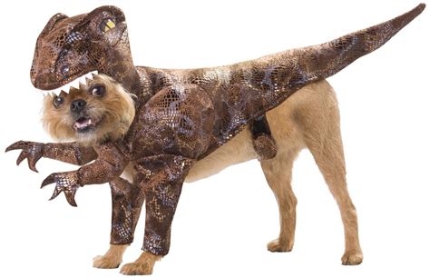 20 Absolutely Amazing Dog Halloween Costumes