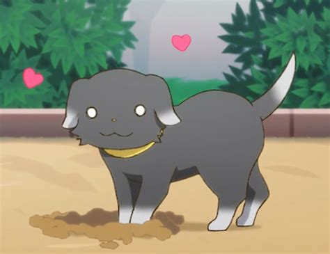 After he took tazuki's sister's food, conny went out to find her a flower to ask for forgiveness. Miira no Kaikata, Pochi | Cute anime chibi, Anime, Anime chibi