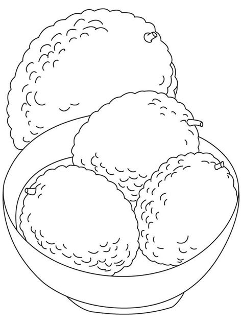 The illustration is available for download in high resolution quality up to 5208x5208 and in eps file format. Lychee coloring pages. Download and print Lychee coloring ...