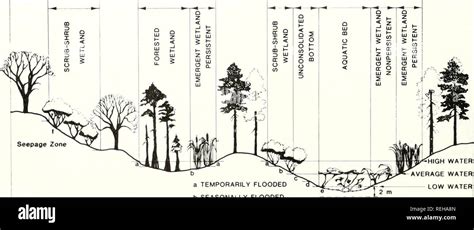 Classification Of Wetlands And Deepwater Habitats Of The United