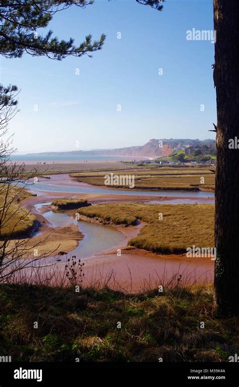 Salt Marsh And Shingle Beach At The Mouth Of The River Otter Budleigh