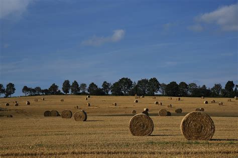 Reduce Loss When Storing Bales Outside Farm And Dairy