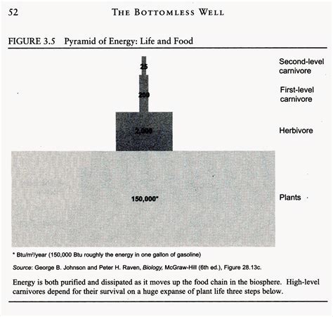 Energy Flow In Ecosystems Worksheet Answers