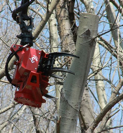 Maybe you would like to learn more about one of these? Tree Removal, Trimming - Binghamton, NY | All Pro Able ...