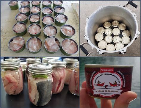 Small Scale Tuna Canning Training In Palau Starts Next Week Ffas