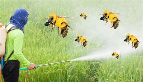 There Is Always An Alternative To Neonicotinoid Pesticides Ento Nation