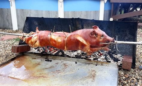 Pig roast - Wikiwand