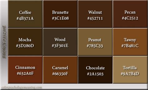 Meaning Of Color Brown Symbolism Psychology And Personality