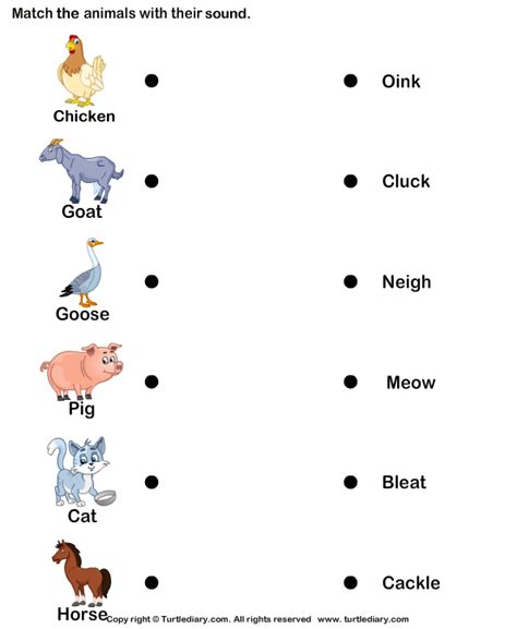 Animals And Their Sound Worksheet