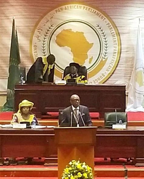 The pap exercises oversight, and has advisory and consultative powers, lasting for the first five years. African Parliamentarians commit to urgent action to ...