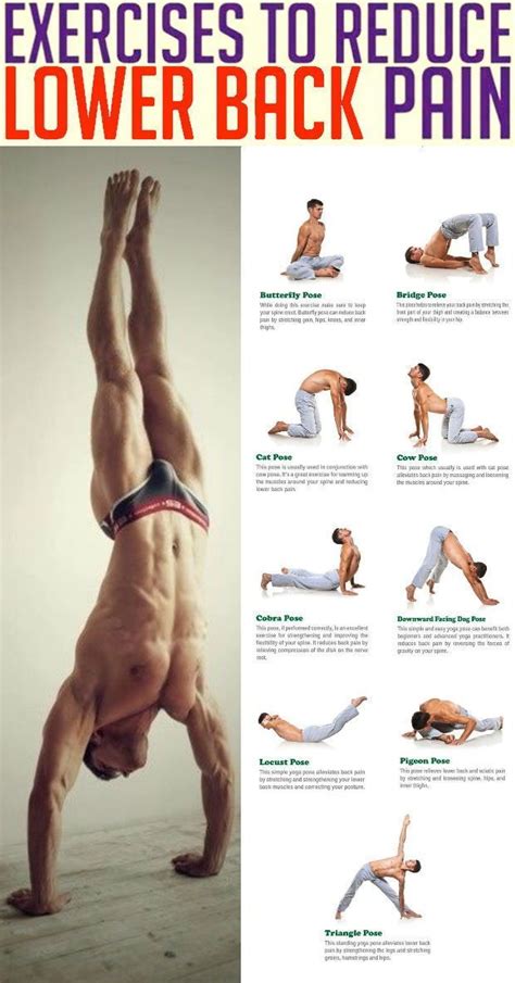 Simple Stretch Exercises To Relieve Lower Back Pain Click On Image To Read More Fitness