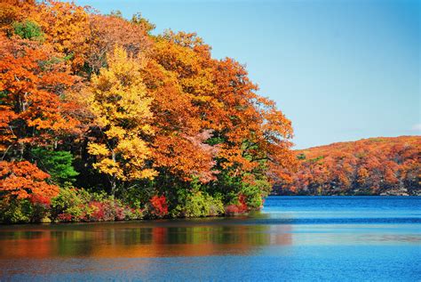 The Best Places To Travel To See Fall Foliage