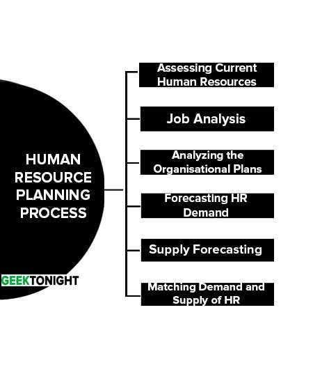 6 Steps Human Resource Planning Process I Explained
