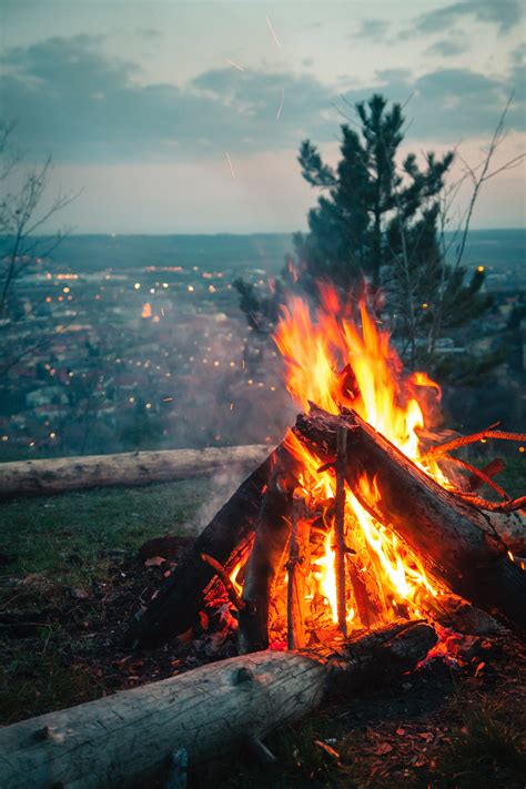 100 Amazing Campfire Photos · Pexels · Free Stock Photos