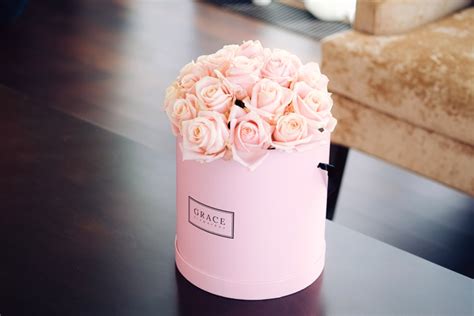 Check spelling or type a new query. Geschenktipp: Blumenboxen von Grace Flowerbox