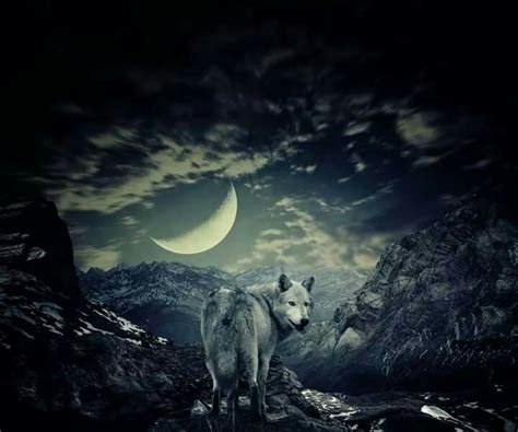Pin By Kimberly Montague On Moon And Wolves Spirit Animal Animals