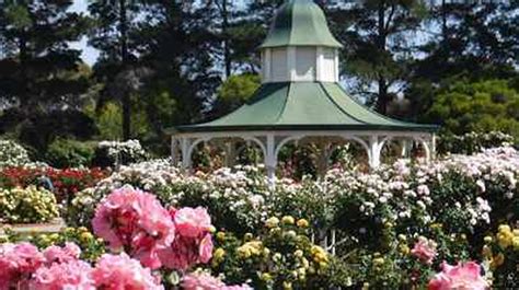 Melbournes Top 5 Gardens And Parks For Indulging In Springs Beauty