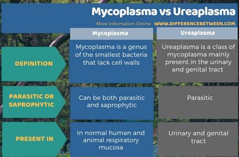 Difference Between Mycoplasma And Ureaplasma Compare The Difference