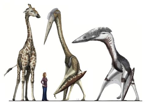 Giant Pterosaurs The Apex Predators Of Their Time Earth Chronicles News