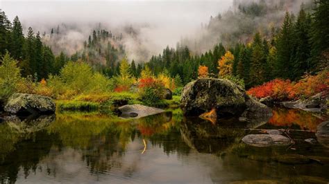 Fog Covered Autumn Leafed Trees Forest With Reflection On River Nature