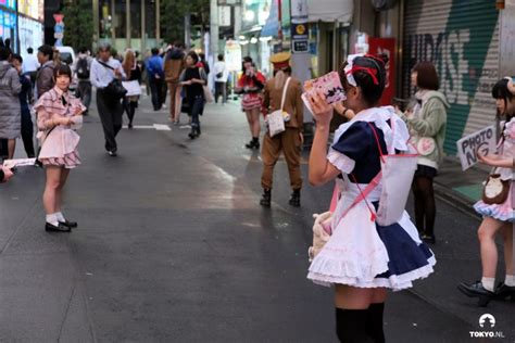 Maid Cafés In Japan Voor Dummies En Otakus Tokyonl