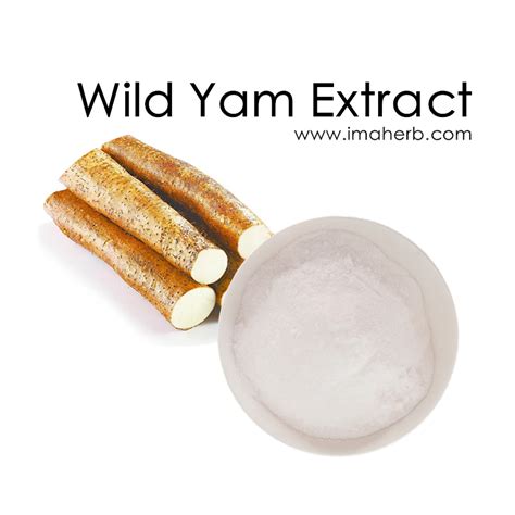 Wild Yam Extract Dioscorease Rhizome Extract Dioscin Diosgenin Yam Root Extract