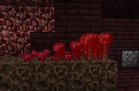 Different Growth Stages Of Nether Wart In Minecraft
