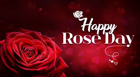 happy rose day 2019 wishes images status shayari photos quotes sms messages for whatsapp