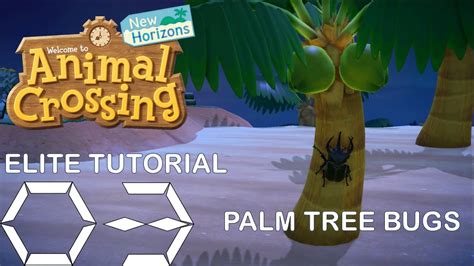 Acnh Elite Tutorial 3 How To Make Palm Tree Bugs Easier To Spawn