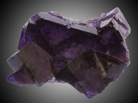 26 Deep Purple Fluorite Crystals Múzquiz Mexico 30396 For Sale