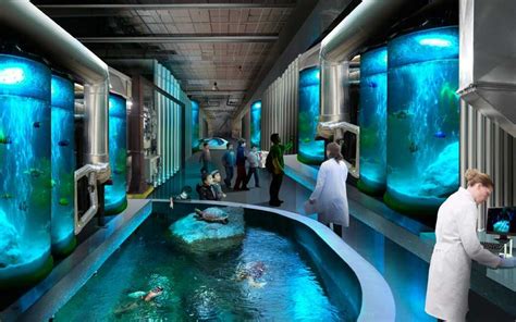 National Museum Of Marine Science And Technology Breaks Ground In