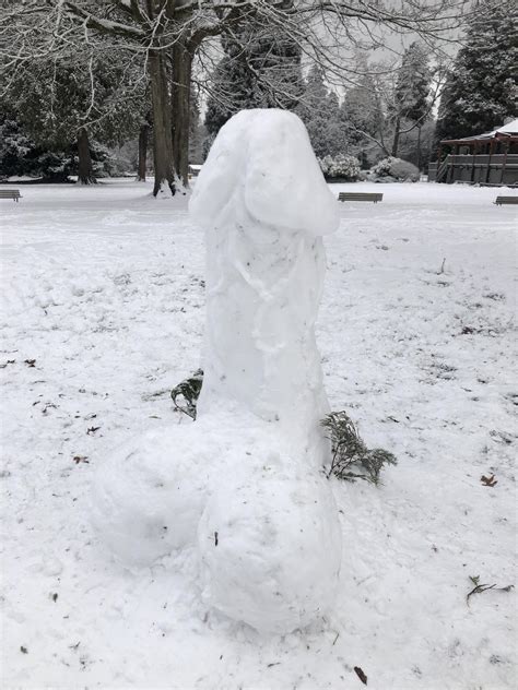 Has Anybody Seen The Snow Dick In Stanley Park Today Rvancouver